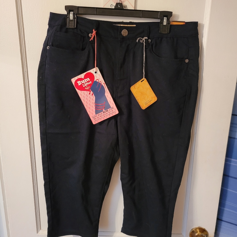 Hybrid and Company Capri Pants 16